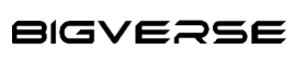 Bigverse